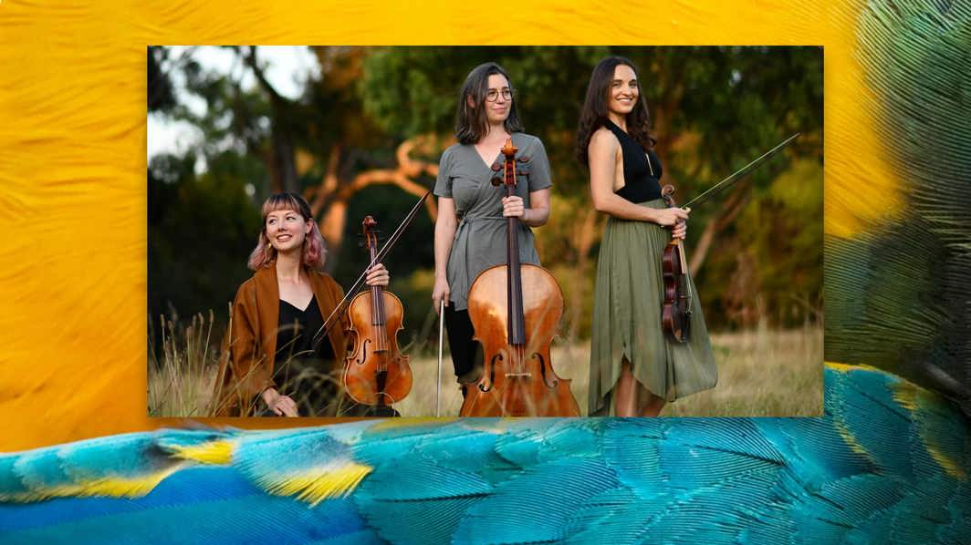 Wattleseed Ensemble 