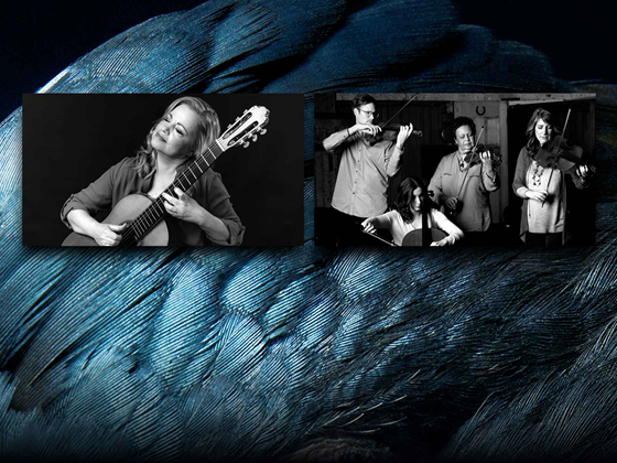Karin Schaupp & Flinders Quartet (Rescheduled)