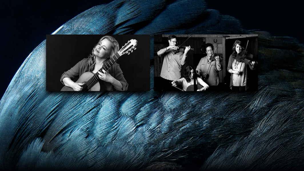 Karin Schaupp & Flinders Quartet (Rescheduled)