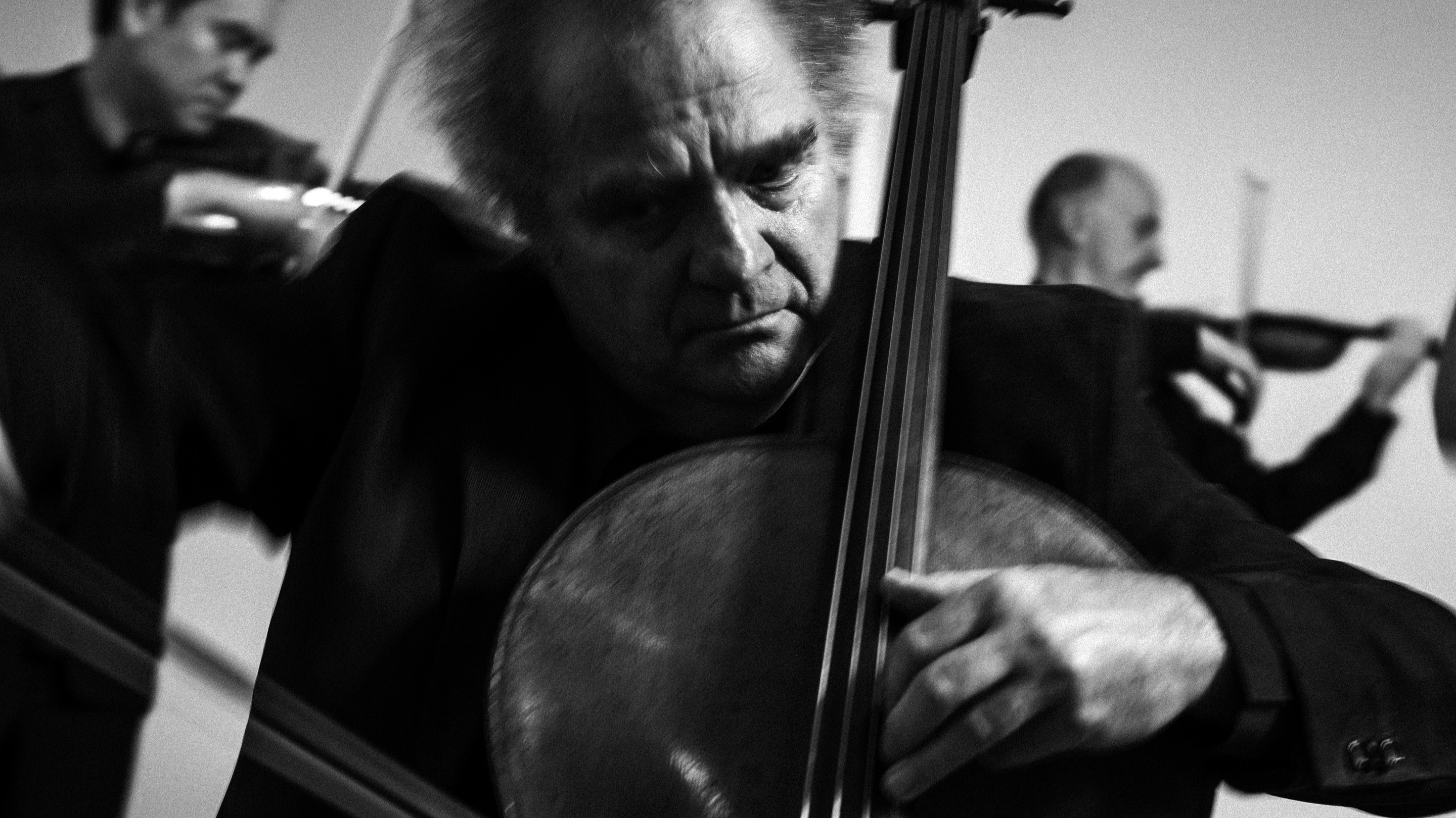 Of the current members of the Takacs, only Fejér, the cellist, has been with the group from the start. Credit: Chet Strange for The New York Times