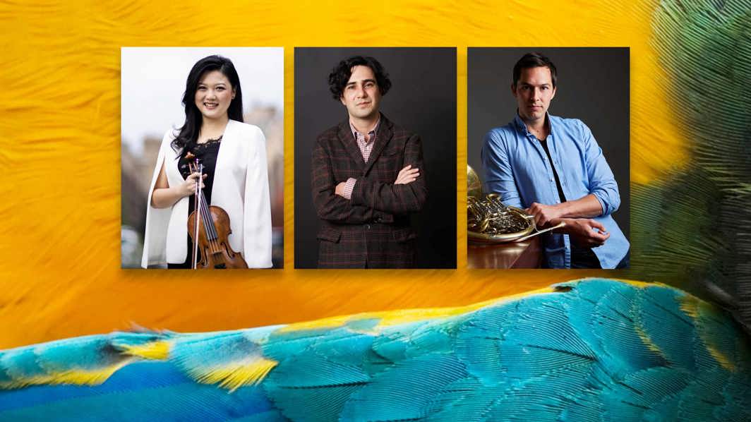 Emily Sun, Nicolas Fleury & Amir Farid