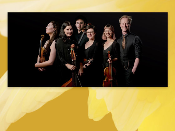 Van Diemen's Band Livestream